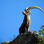Rustico Maiensaess Puetschai Casa de Férias *
