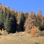 Rustico Maiensaess Puetschai * Santa Maria Val Muestair