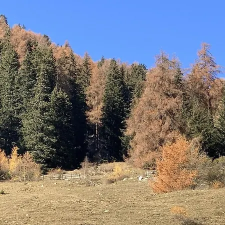 Rustico Maiensaess Puetschai * Santa Maria Val Muestair