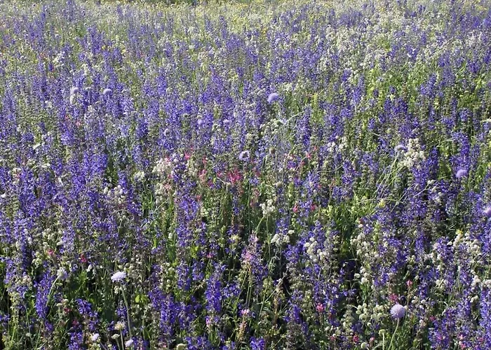 Casa de Férias Rustico Maiensaess Puetschai Santa Maria Val Muestair