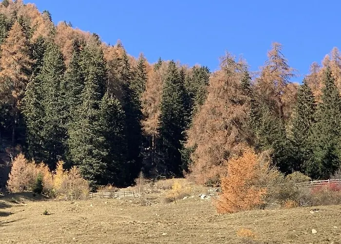 Rustico Maiensaess Puetschai * Santa Maria Val Muestair