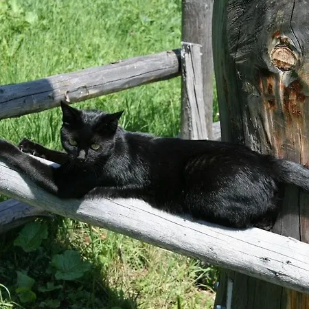 Rustico Maiensaess Puetschai Vakantiehuis Santa Maria Val Muestair